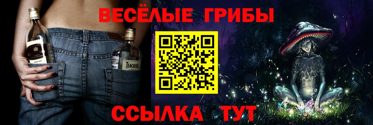 Елабуга  Псилоцибиновые грибы Cubensis  Вход с VPN  Галлюциногенные грибы ЛСД 